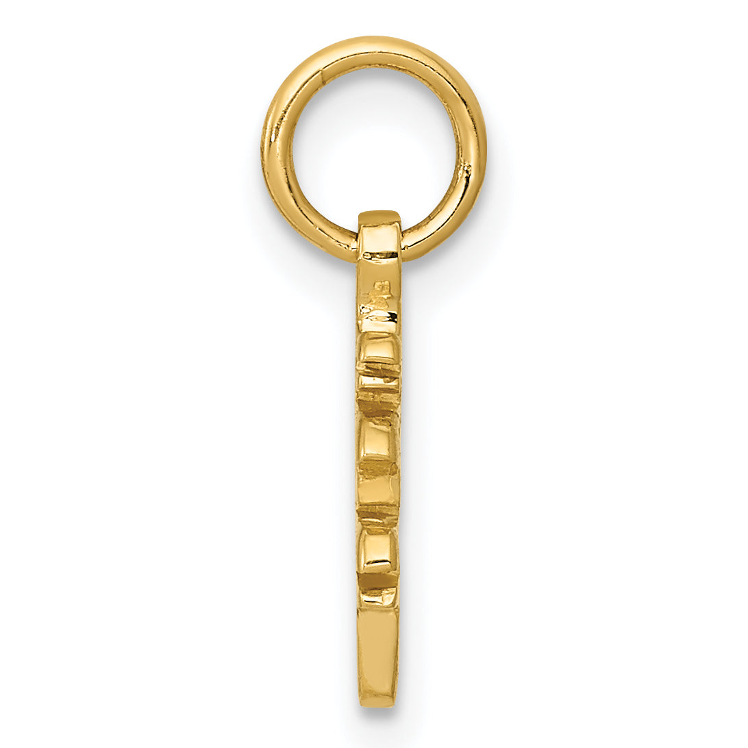 14K Gold Chinese Long Life Charm with Polished Finish  Elegant and Timeless Secondary image