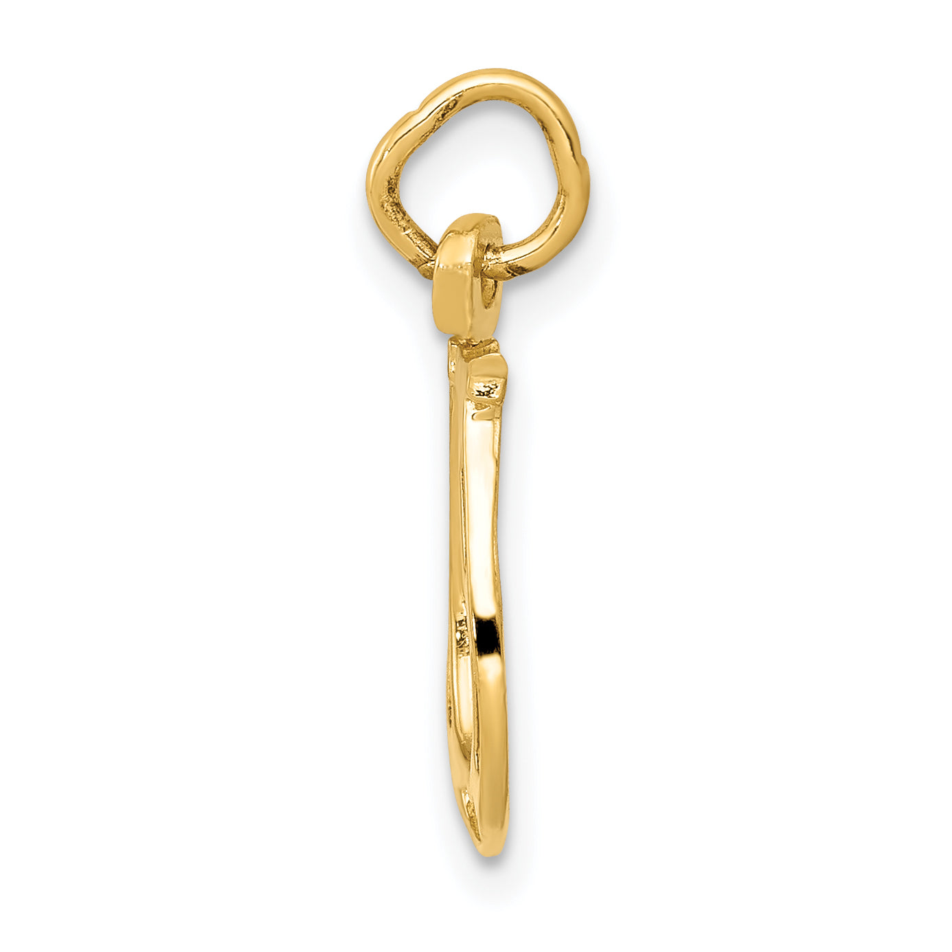 14K Gold Polished Horseshoe Charm for Men  Solid & Textured Finish Secondary image