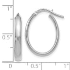 14K White Gold Polished Oval Hoop Earrings with Rhodium Finish and Lifetime Guarantee