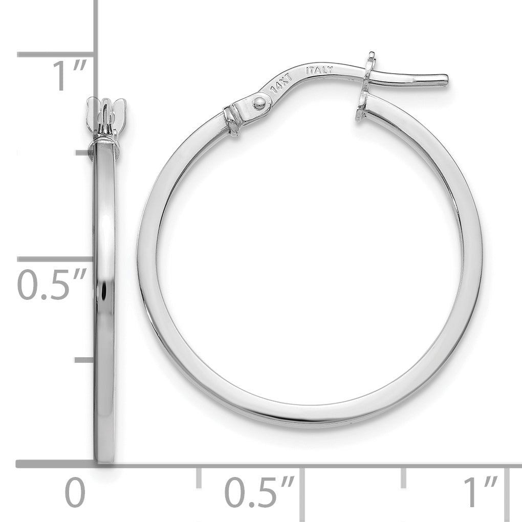 14K White Gold Polished Hoop Earrings with Rhodium Finish  Elegant Hollow Design