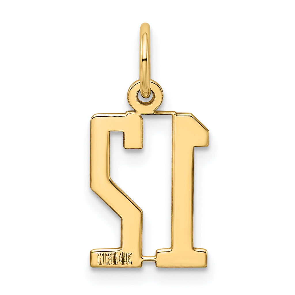 14K Gold Polished Elongated Charm Pendant  Laser Cut Small Themed Design