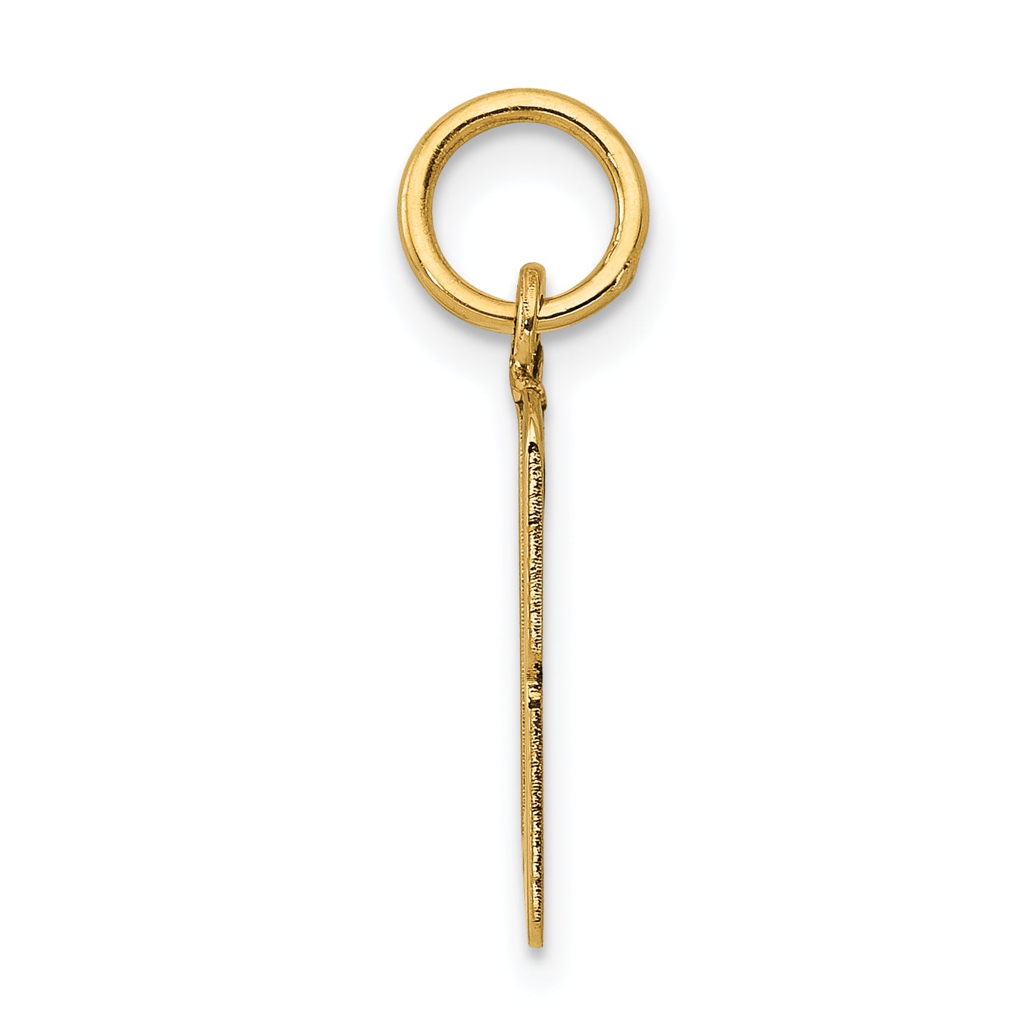 14K Gold Polished Elongated Charm with Laser Cut Detailing  Small Themed Pendant Secondary image
