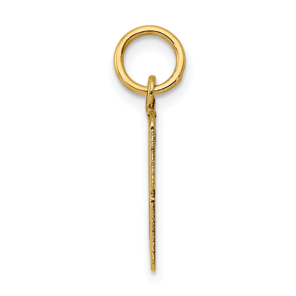 14K Gold Polished Elongated Charm with Laser Cut Detailing  Small Themed Pendant