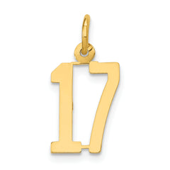 14k Small Elongated Number 17 Charm
