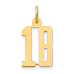 14k Small Elongated Number 18 Charm