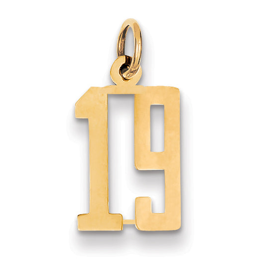 14k Small Elongated Number 19 Charm
