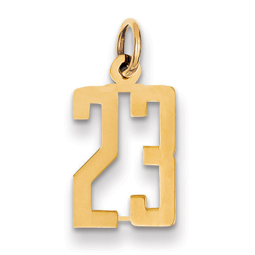 14k Small Elongated Number 23 Charm