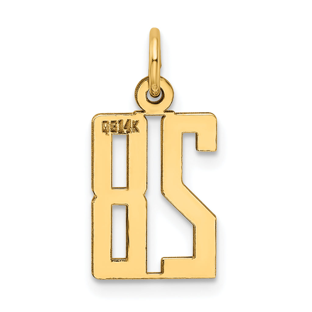 14K Gold Polished Elongated 28 Charm Pendant Small Elegant Design
