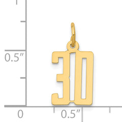 14K Gold Polished Elongated Charm Small, Laser Cut Design