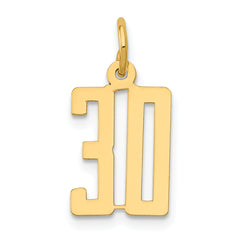 14k Small Elongated Number 30 Charm