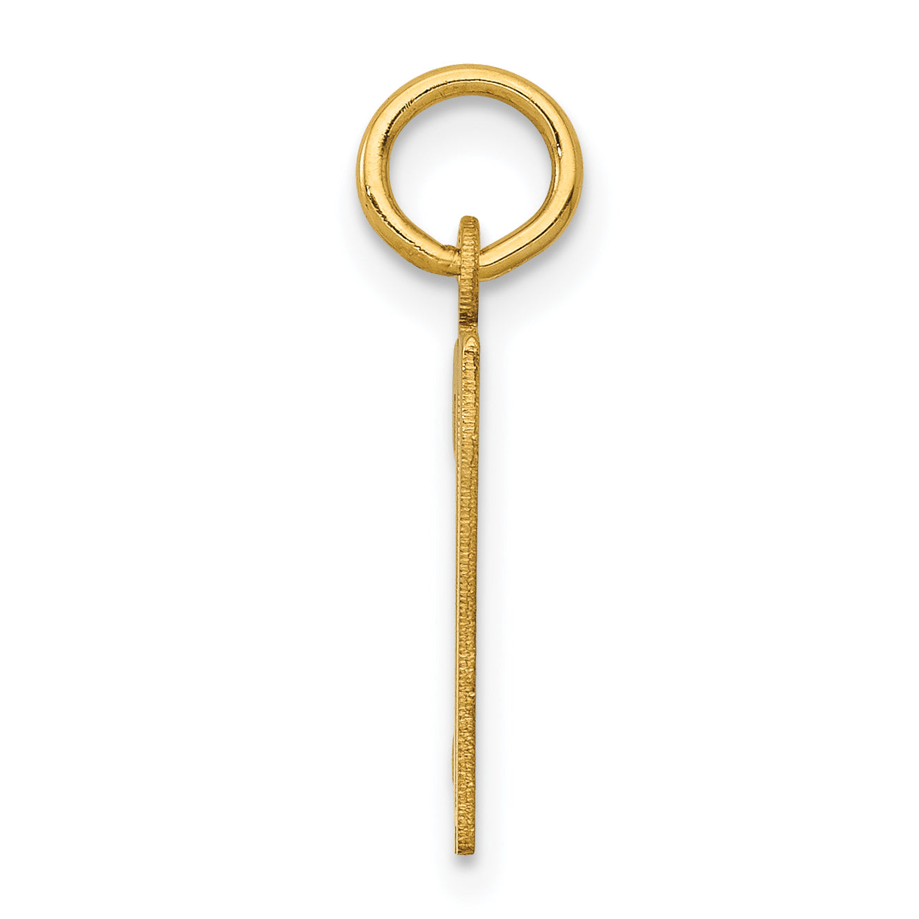 14K Gold Polished Elongated Charm Small, Laser Cut, Themed