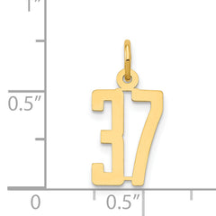 14K Gold Polished Elongated Charm Small, Laser Cut, Themed