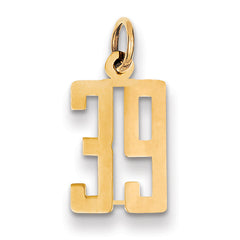 14k Small Elongated Number 39 Charm