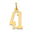 14k Small Elongated Number 41 Charm