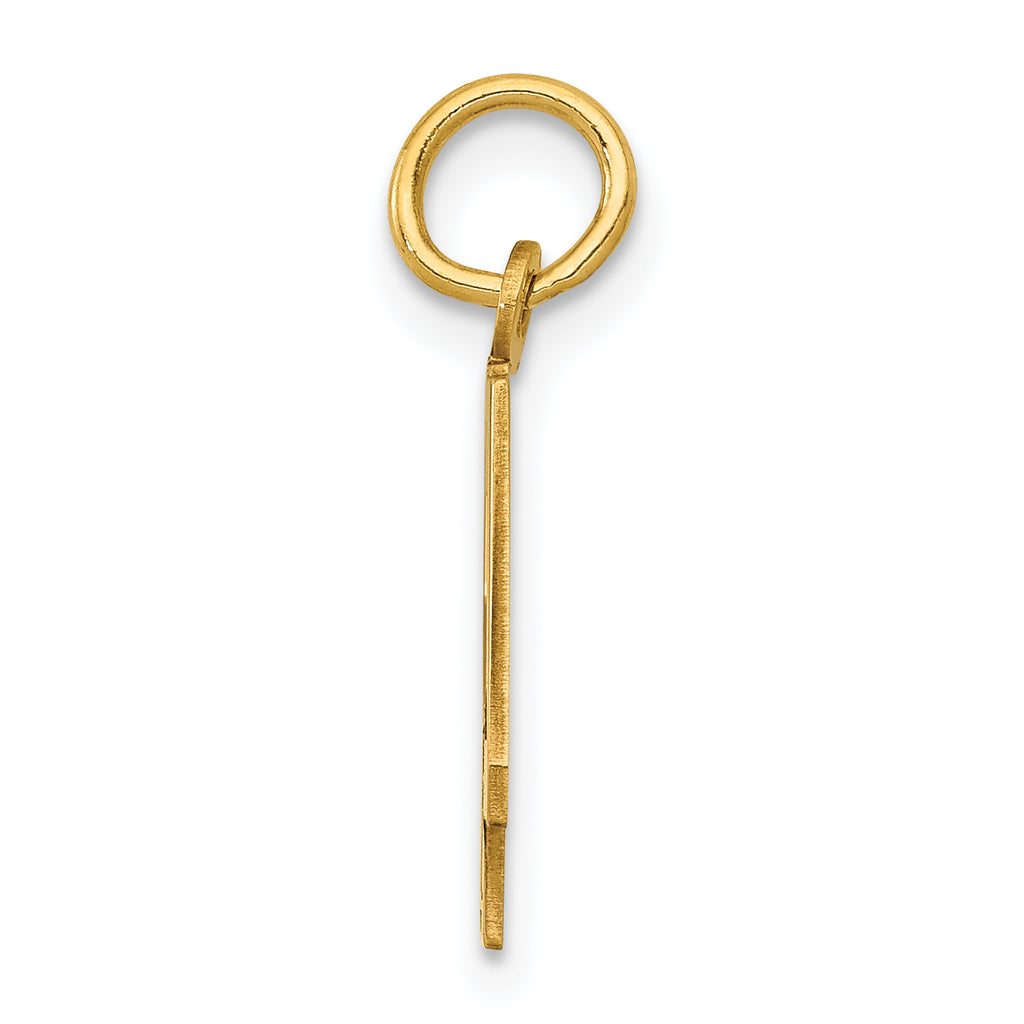 14K Gold Polished Elongated Charm Laser-Cut Small Themed Design