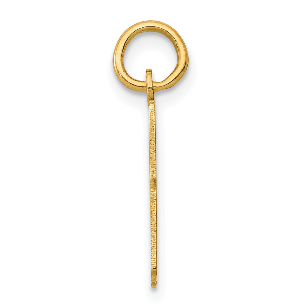14K Gold Polished Elongated Charm with Laser Cut Design Small