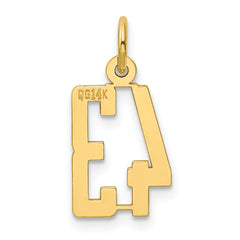 14K Gold Polished Elongated Charm with Laser Cut Design Small
