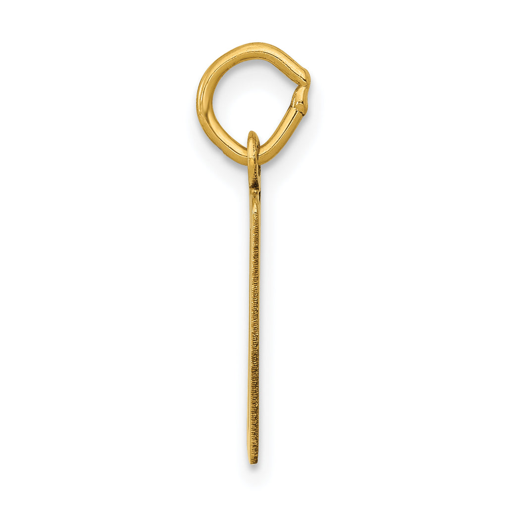 14K Gold Small Polished Elongated Charm with Laser-Cut Detail