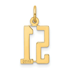 14K Gold Polished Elongated 51 Charm  Small, Laser Cut, Elegant Design