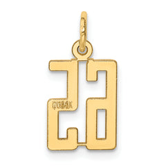 14K Gold Polished Elongated 65 Charm Pendant Small, Laser Cut