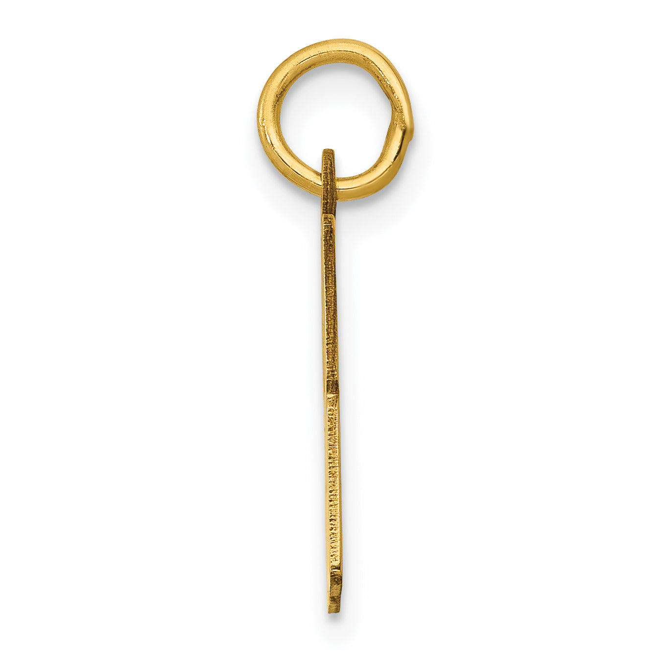 14K Gold Polished Elongated Charm with Laser-Cut Detailing Small Secondary image