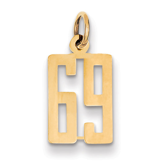 14k Small Elongated Number 69 Charm Main image