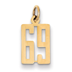 14k Small Elongated Number 69 Charm