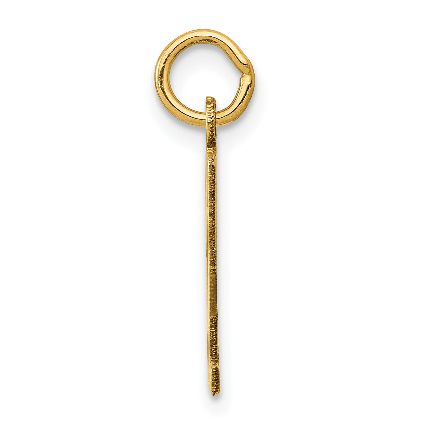 14K Yellow Gold Polished Elongated Charm  Small, Laser Cut Design Secondary image