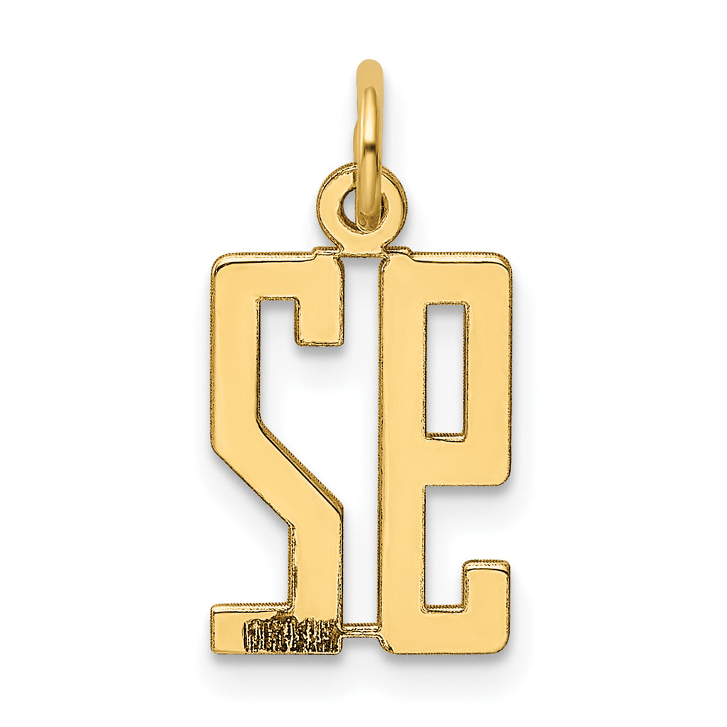 14K Yellow Gold Polished Elongated Charm  Small, Laser Cut Design