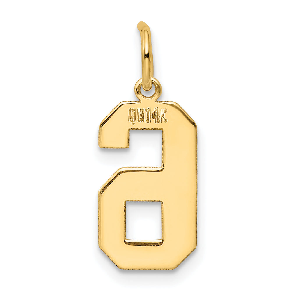 14K Gold Polished Number 6 Charm with Laser Cut Design