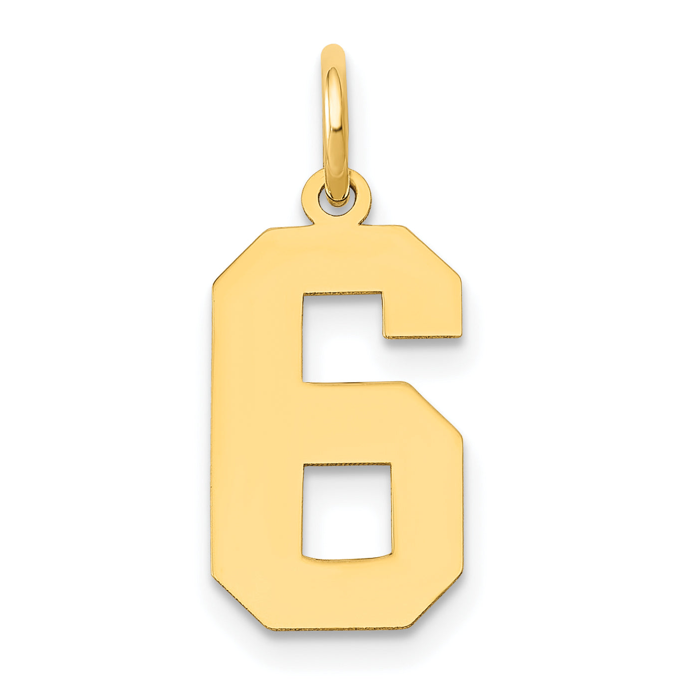 14k Medium Polished Number 6 Charm Main image
