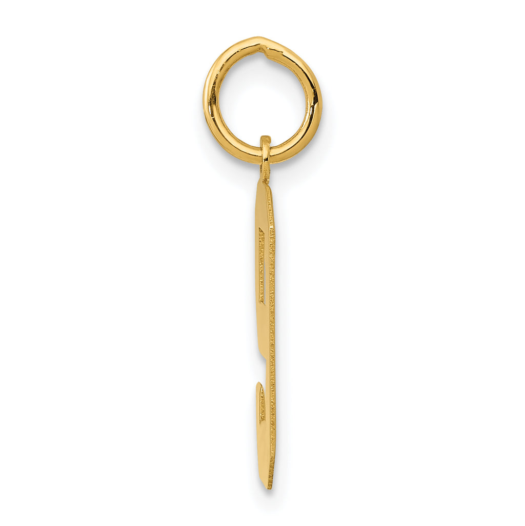14K Gold Polished Number 9 Charm Laser Cut Medium