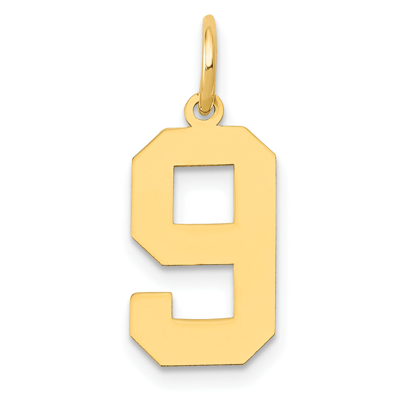 14k Medium Polished Number 9 Charm Main image