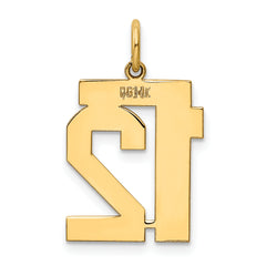 14K Gold Polished Number 12 Charm in Elegant Laser-Cut Design