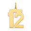 14k Medium Polished Number 12 Charm