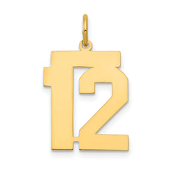 14k Medium Polished Number 12 Charm