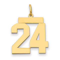 14k Medium Polished Number 24 Charm