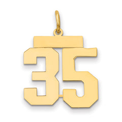 14k Medium Polished Number 35 Charm