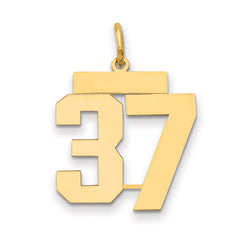 14k Medium Polished Number 37 Charm