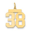 14k Medium Polished Number 38 Charm