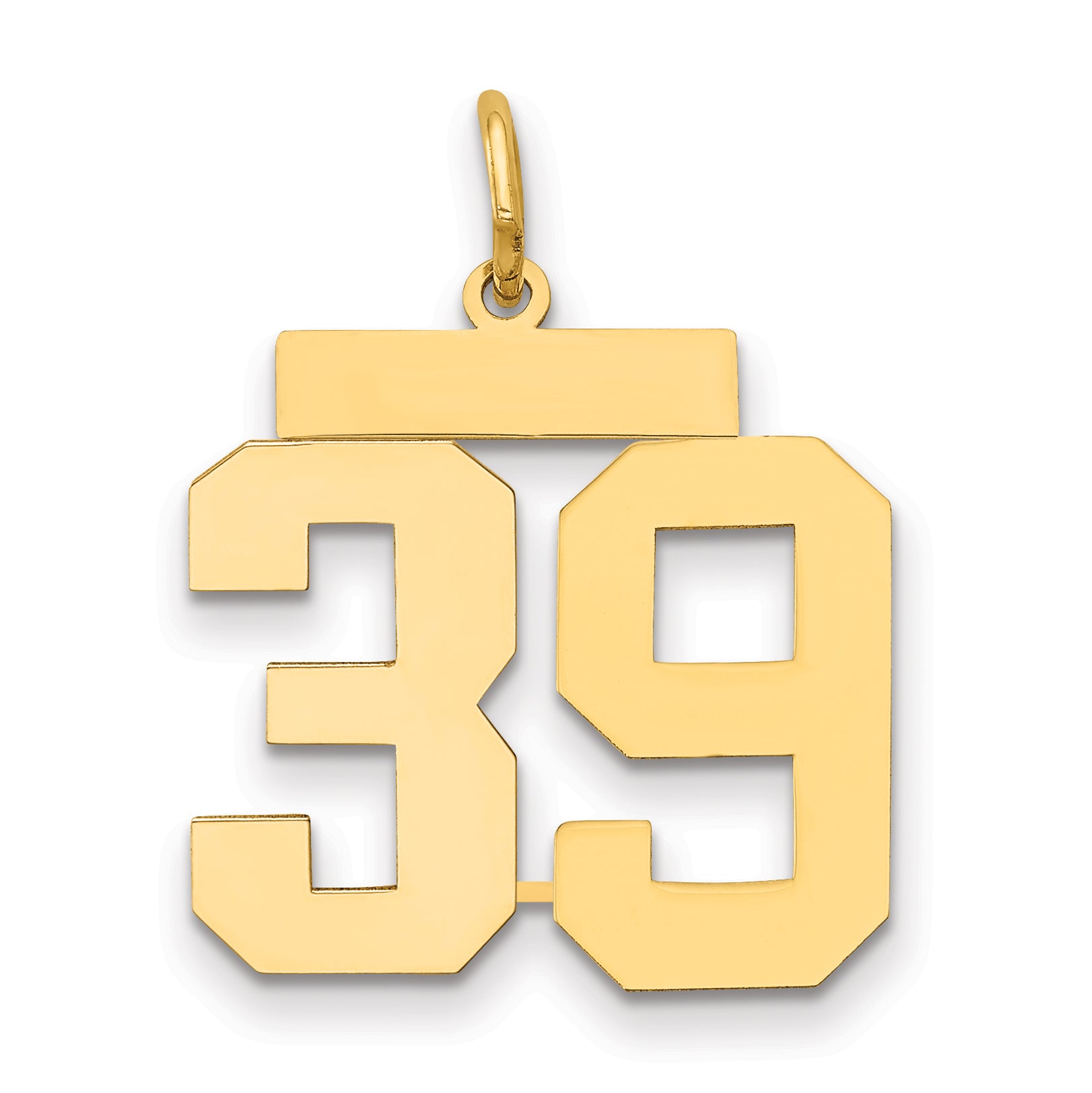 14k Medium Polished Number 39 Charm Main image