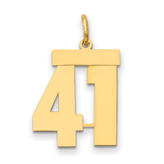 14k Medium Polished Number 41 Charm