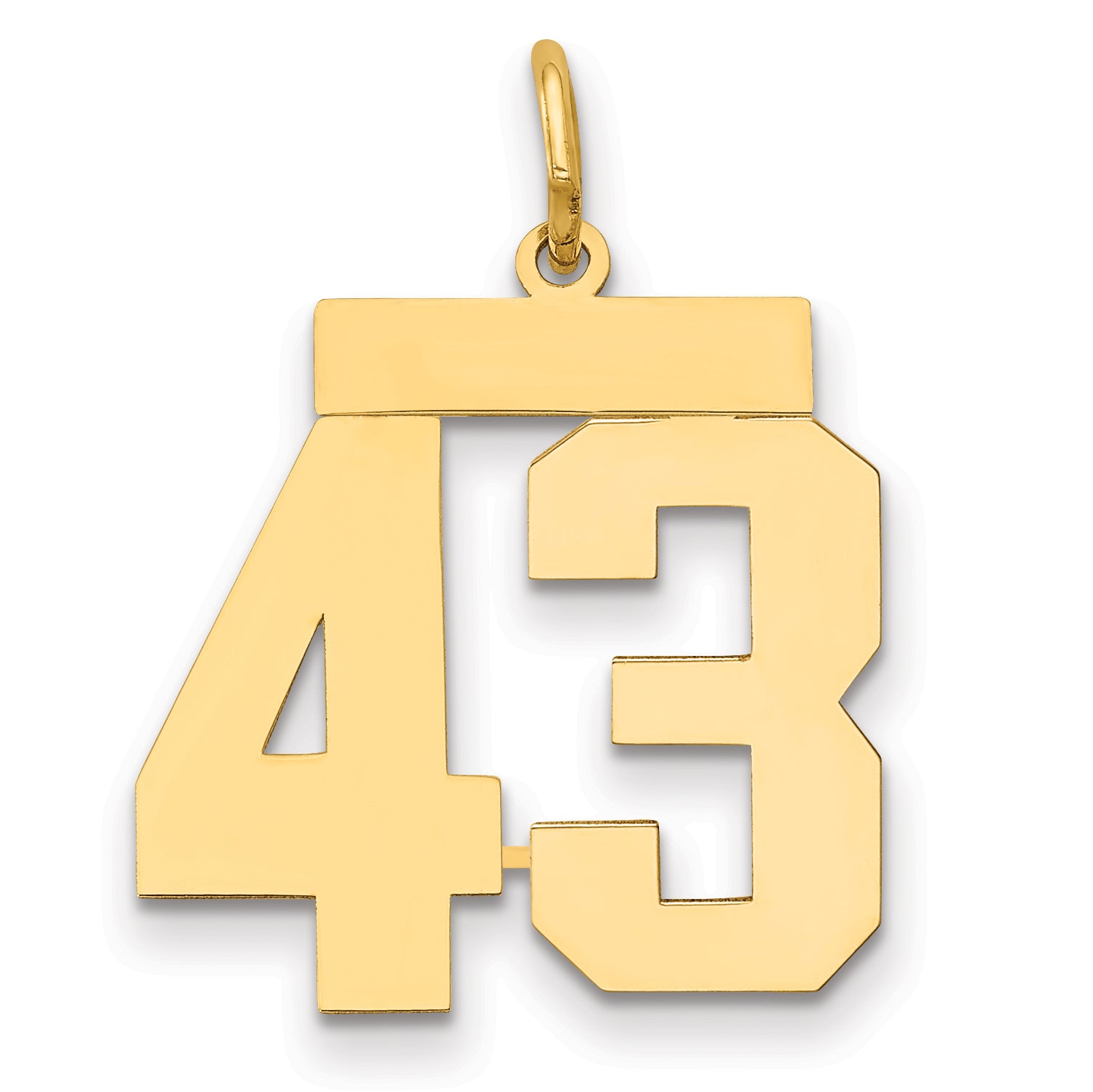 14k Medium Polished Number 43 Charm Main image