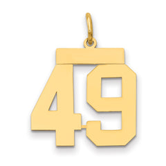 14k Medium Polished Number 49 Charm