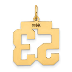 14K Gold Polished Number 53 Charm with Laser Cut Finish  Medium Size