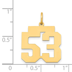 14K Gold Polished Number 53 Charm with Laser Cut Finish  Medium Size