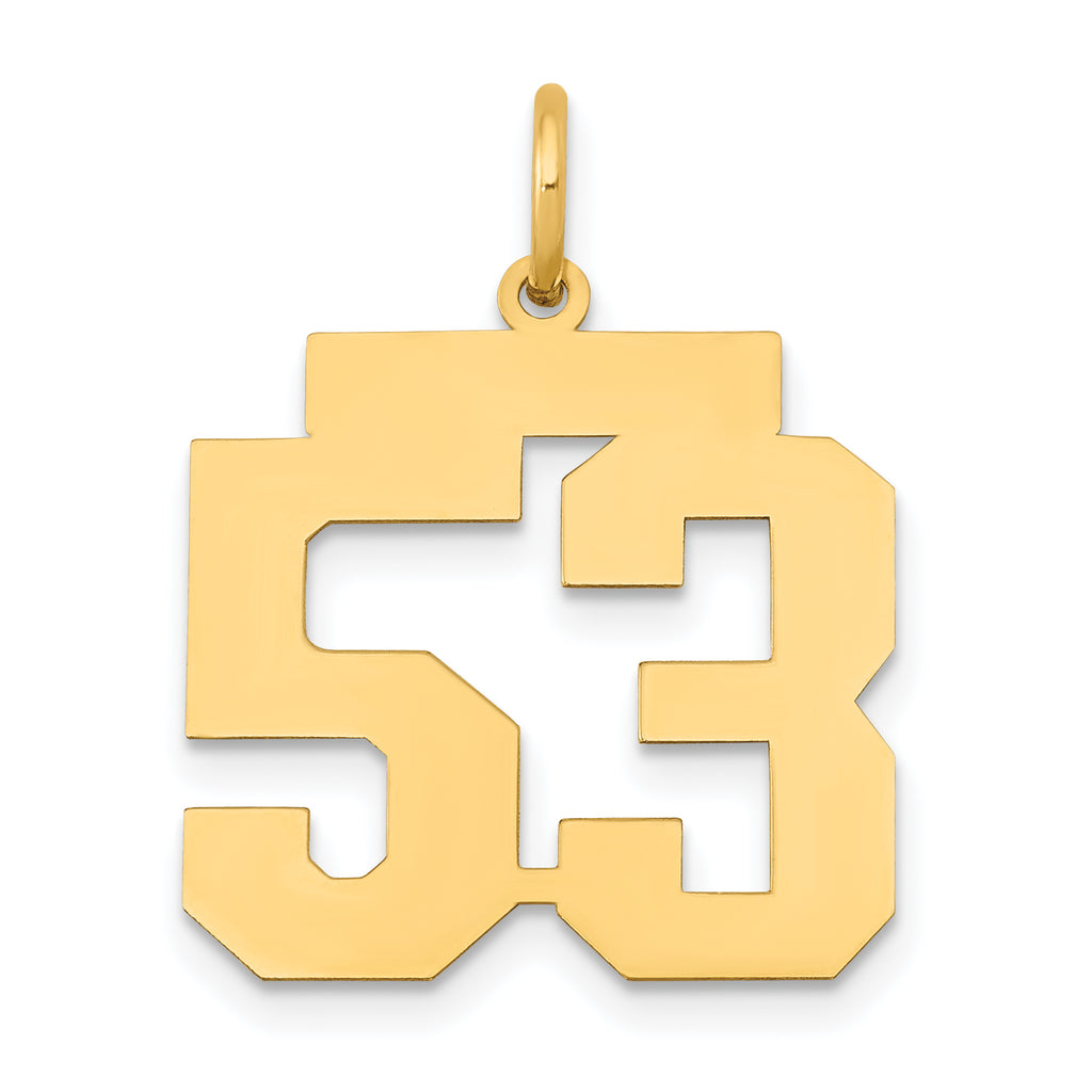 14k Medium Polished Number 53 Charm