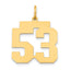 14k Medium Polished Number 53 Charm