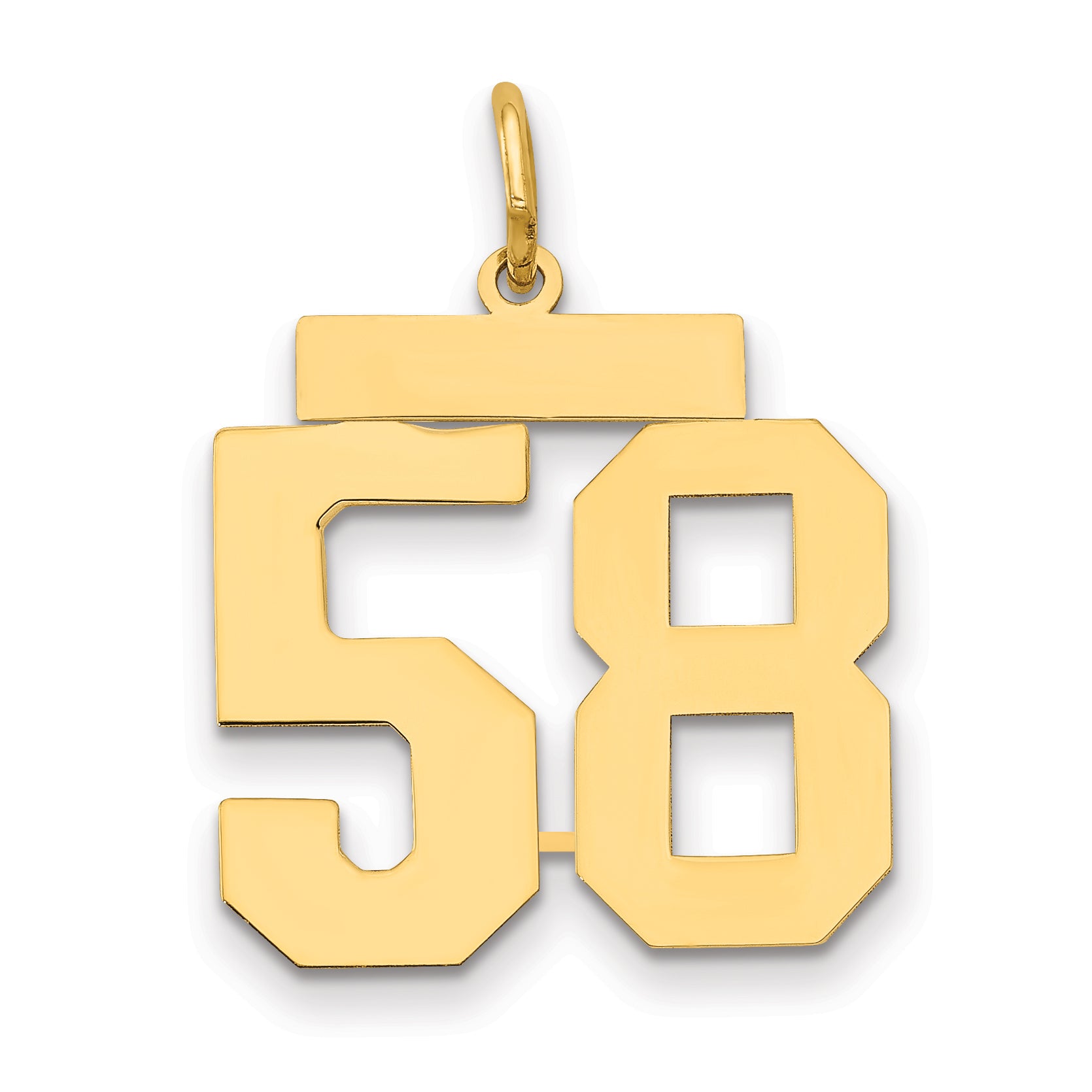 14k Medium Polished Number 58 Charm