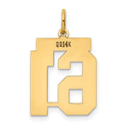 14K Gold Polished Number 61 Charm with Laser-Cut Detailing Medium